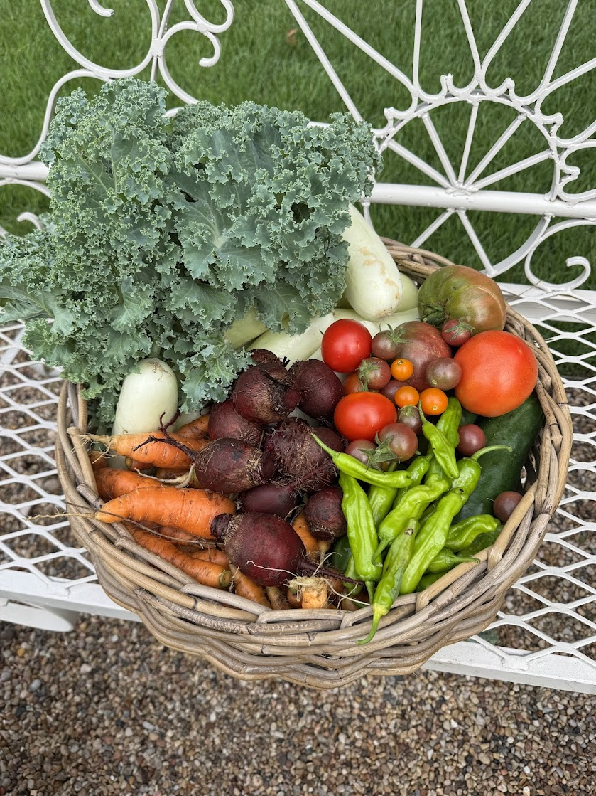 Basket filled with vegetables harvested from the Cottage Garden