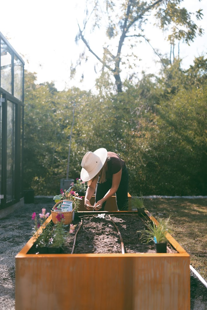 Planting a raised kitchen garden beside a glass greenhouse
